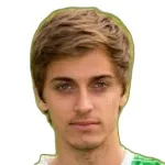 ف. تواردزيك
