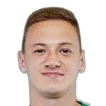 و. نازارينكو