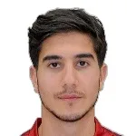 ناريك ال�يرديان