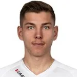 دانيل ماريكيك
