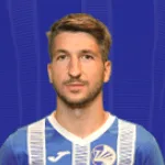م. رايكيفيك