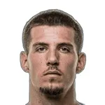 ج. فانليربيرغي